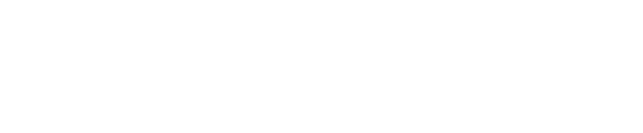 New Holstein Authority